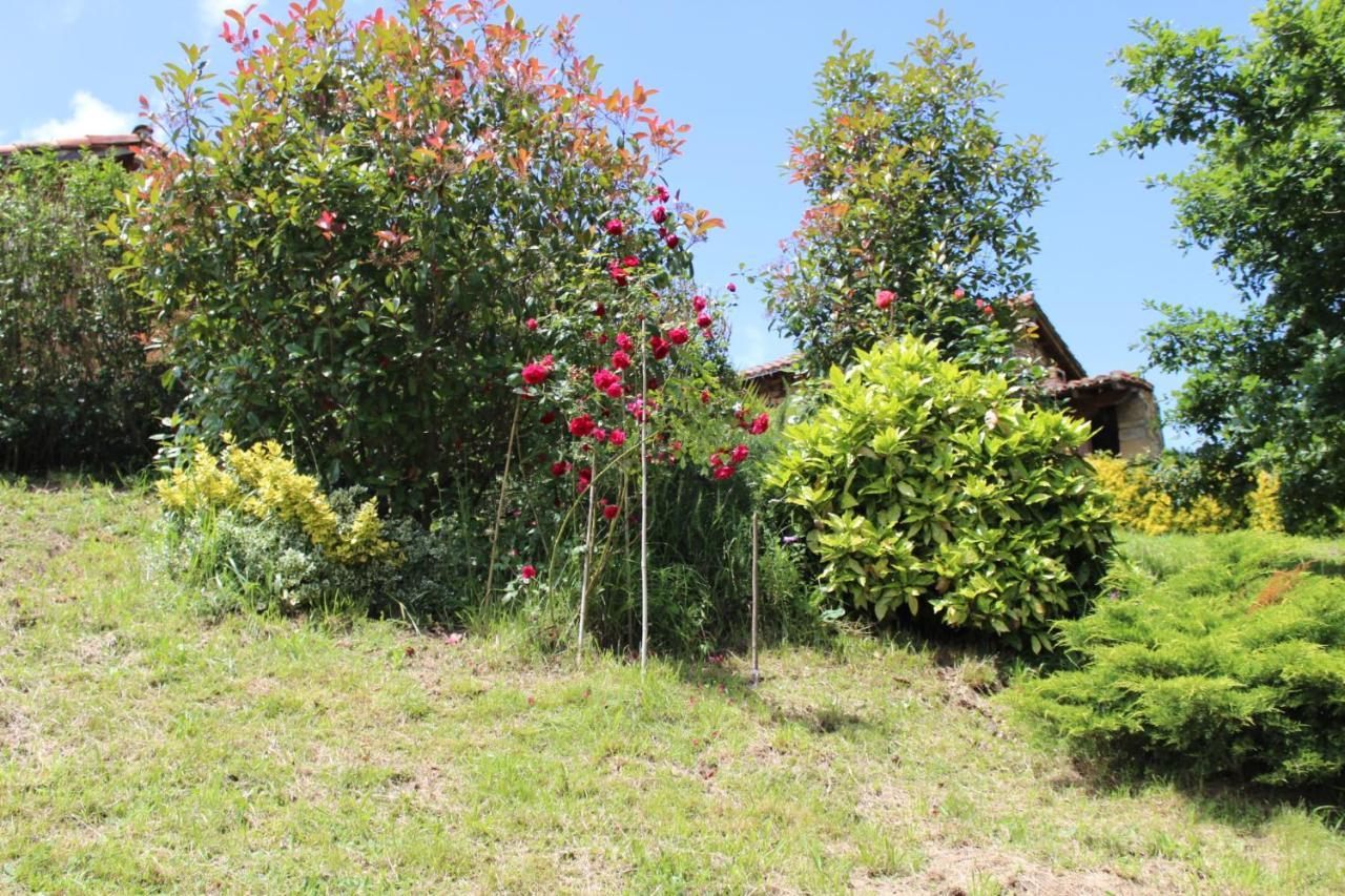 El Refugio De Luena Villa San Miguel de Luena ภายนอก รูปภาพ